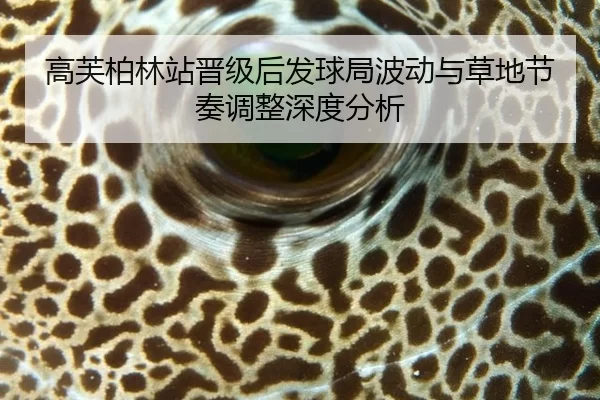 高芙柏林站晋级后发球局波动与草地节奏调整深度分析